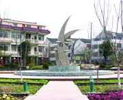 崇明天气预报15天