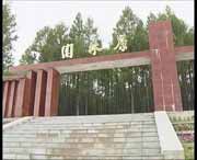 新林天气预报15天