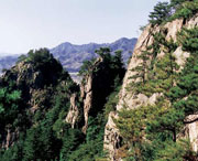 开原天气预报15天