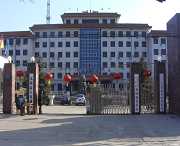 无极天气预报15天