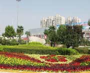 长安天气预报15天