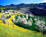 淳化天气预报15天