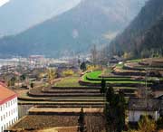 佛坪天气预报15天