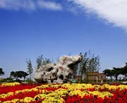 桓台天气预报15天