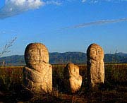 昭苏天气预报15天