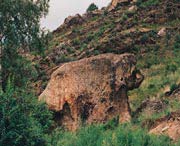 福海天气预报15天