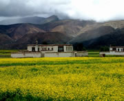 拉孜天气预报15天