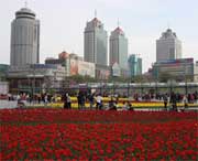 西宁天气预报15天