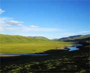 泽库天气预报15天