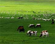 海北州天气预报15天