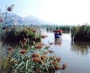永靖天气预报15天