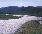 迭部天气预报15天