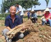 温县天气预报15天