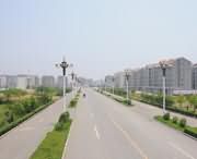 郸城天气预报15天