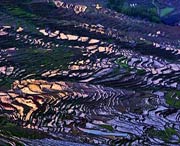 尤溪天气预报15天