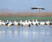 新建天气预报15天