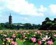 石城天气预报15天