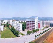 新余天气预报15天