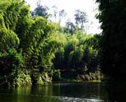 长宁天气预报15天