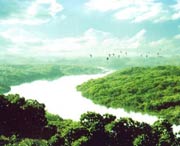 廉江天气预报15天