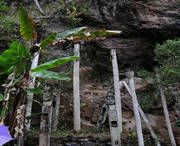 西盟天气预报15天